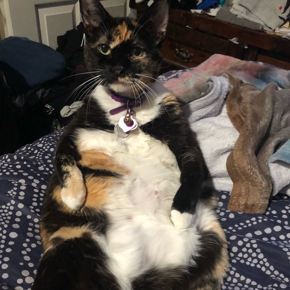 Meet your Posher, Angela - Picture 6 of 6